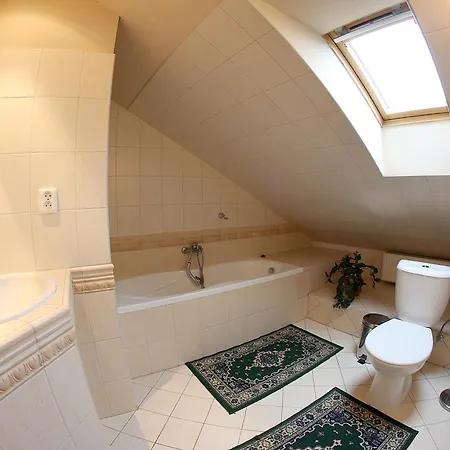 Guest house Mahleruv Na Hradbach 3*