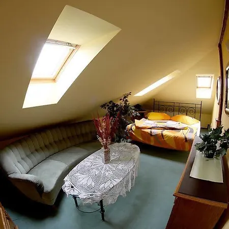 Guest house Mahleruv Na Hradbach 3*